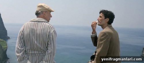 Ranked: All Non-English Oscar Films Nominated for Best Picture 9 Il Postino