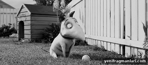 Stop-Motion Animated Features: Oscar Nominees Ranked 5 img 36540 4