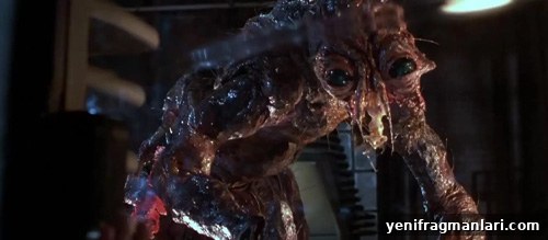 Where to Start Watching David Cronenberg Films 2 Poster or still from The Fly (1986)