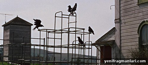 Hitchcock's The Birds at 60: Anniversary Review 2 img 36910 1