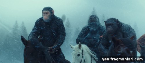 Matt Reeves Movies Ranked: From Strongest to Weakest 5 img 37194 4