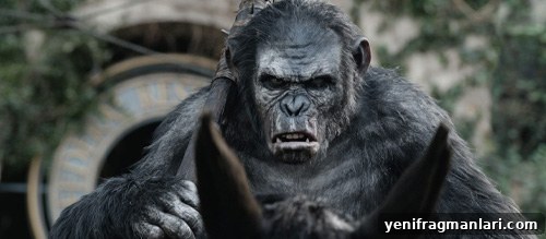 Matt Reeves Movies Ranked: From Strongest to Weakest 7 img 37194 6