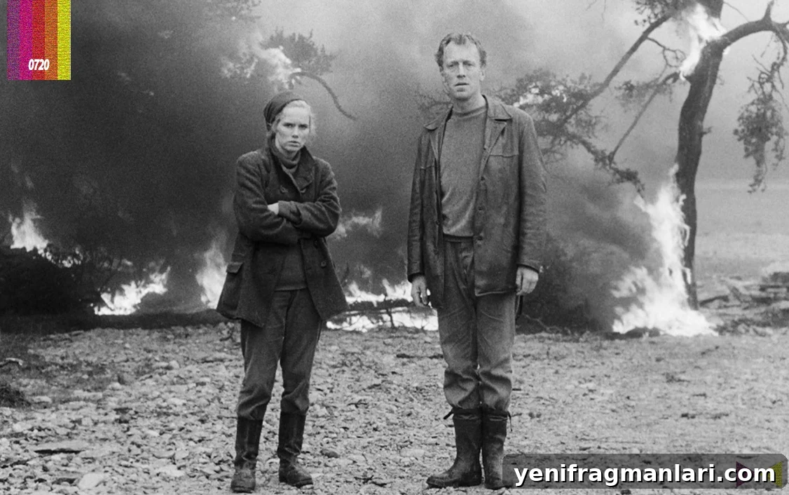 George Taylor's Top 10 Films of All Time 5 Shame