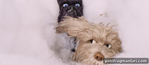 Every Wes Anderson Film Ranked 10 Isle of Dogs film still