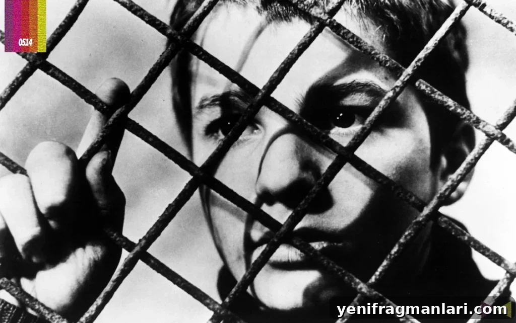 The 400 Blows