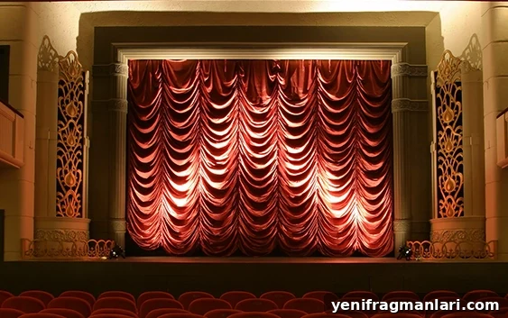 Tyneside Cinema Launches Emergency Funding Appeal 3 Auditorium at Tyneside Cinema