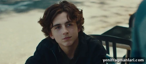 10 Unforgettable Moments from Lady Bird 2 Timothée Chalamet as Kyle in Lady Bird