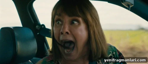 10 Unforgettable Moments from Lady Bird 10 Lady Bird leaps from the moving car