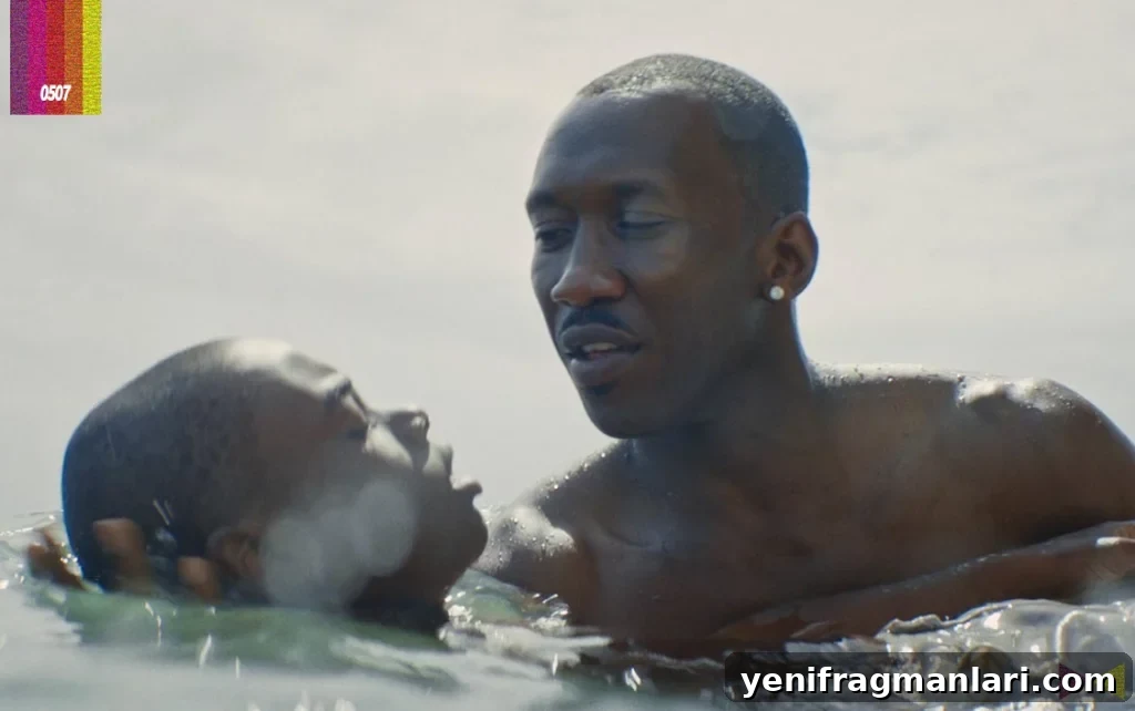 Emi Grant's Top 10 Films of All Time 8 Moonlight film still
