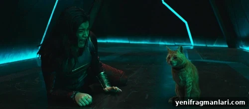 img 40717 2