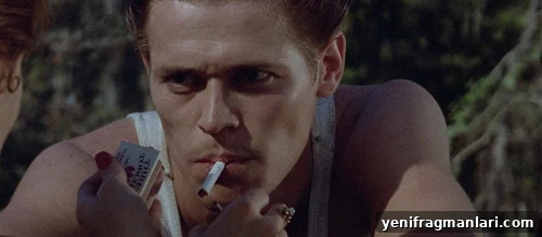 Kathryn Bigelow Movies Ranked: Every Film From Worst to Top 2 The Loveless