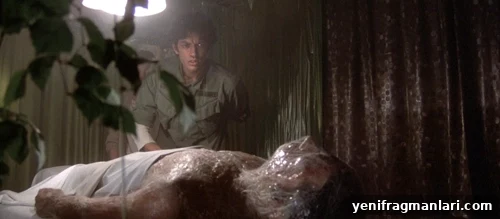 Invasion of the Body Snatchers at 45: Why It Still Haunts 3 Pod imagery from Invasion of the Body Snatchers (1978)