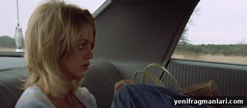 The Sugarland Express scene