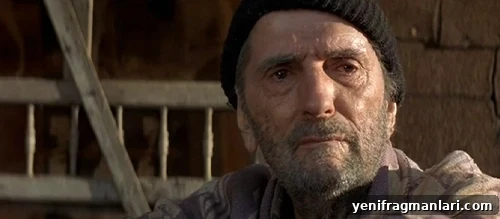 10 Iconic Harry Dean Stanton Performances 9 An elderly dishevelled man in a black beanie hat looks regrettably at a skyline out of view.