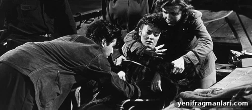 All Alfred Hitchcock Films Ranked 32 Lifeboat
