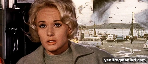 All Alfred Hitchcock Films Ranked 47 The Birds