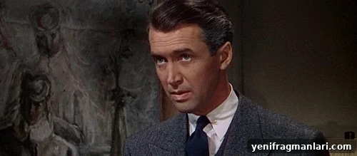 All Alfred Hitchcock Films Ranked 49 Rope