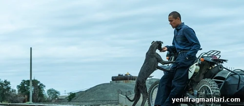 Black Dog (2024) Review: Intense Thriller Worth Watching 2 Eddie Pang and dog in the feature film 'Black Dog' (2024).