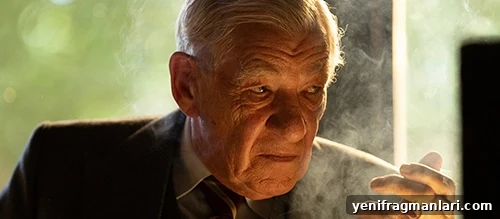 The Critic (2023) Review: Sharp Satire and Standout Voice 3 Ian McKellen as the titular critic in feature film 'The Critic'.