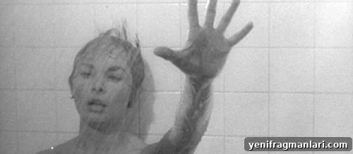 50 Must-See Horror Movies You Can't Miss 14 Psycho
