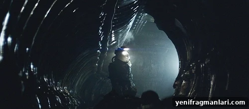 50 Must-See Horror Movies You Can't Miss 28 Alien