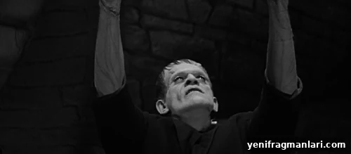 50 Must-See Horror Movies You Can't Miss 6 Frankenstein (1931)