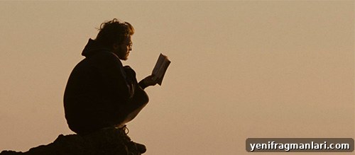 10 Must-See Movies from 2007 5 Emile Hirsch Sean Penn Into the Wild