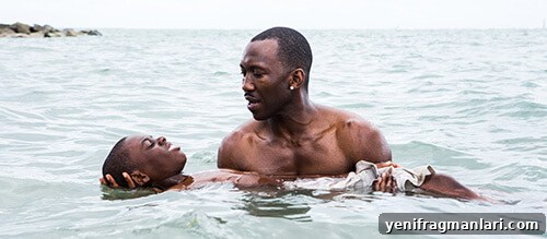 Moonlight Best of 2017