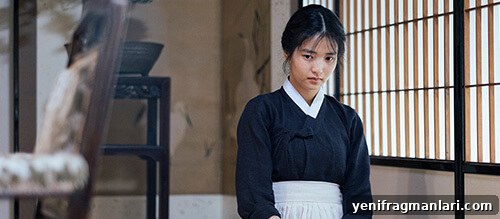Park Chan-Wook The Handmaiden