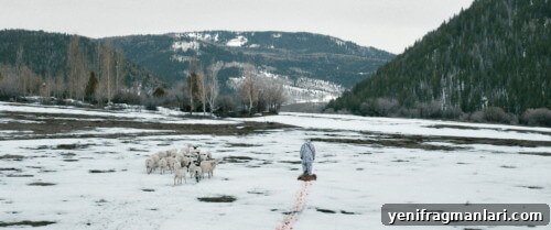 The Great Empathy Machine: Subjectivity in Criticism (Part 2) 2 Wind River Movie Screenshot